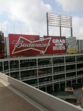 Arlington (Texas Rangers) - Budweiser Sign #2