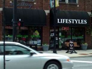 Lifestyles - Window Graphics