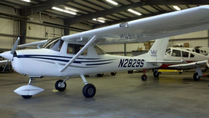 Wings Aviation - Plane Graphics